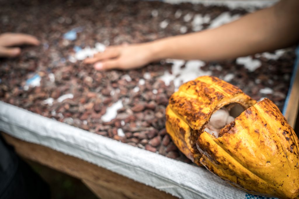 40 Romantic Things To Do In Bali The Ultimate 2022 Guide!